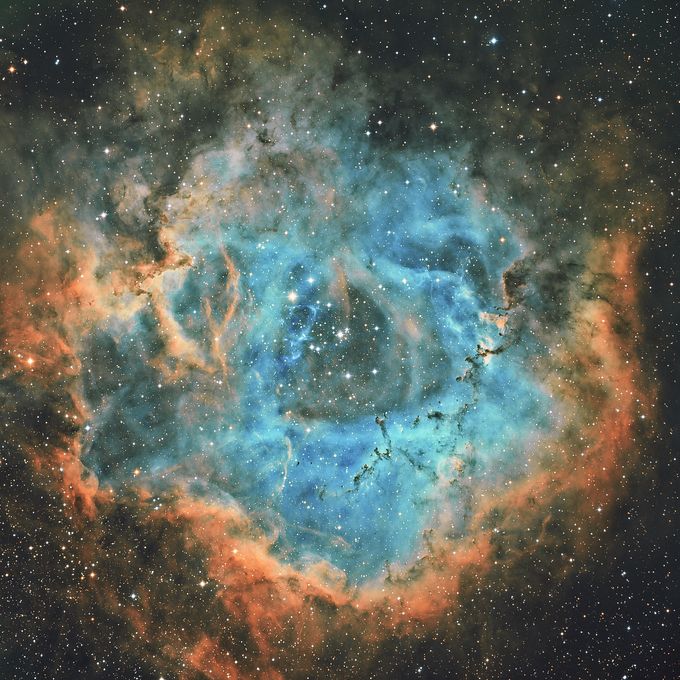 ngc 2037 La nébuleuse de la Rosette