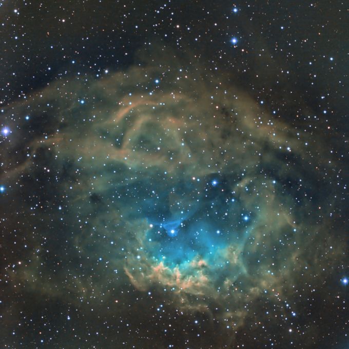 SH2-261 Lower's nebula