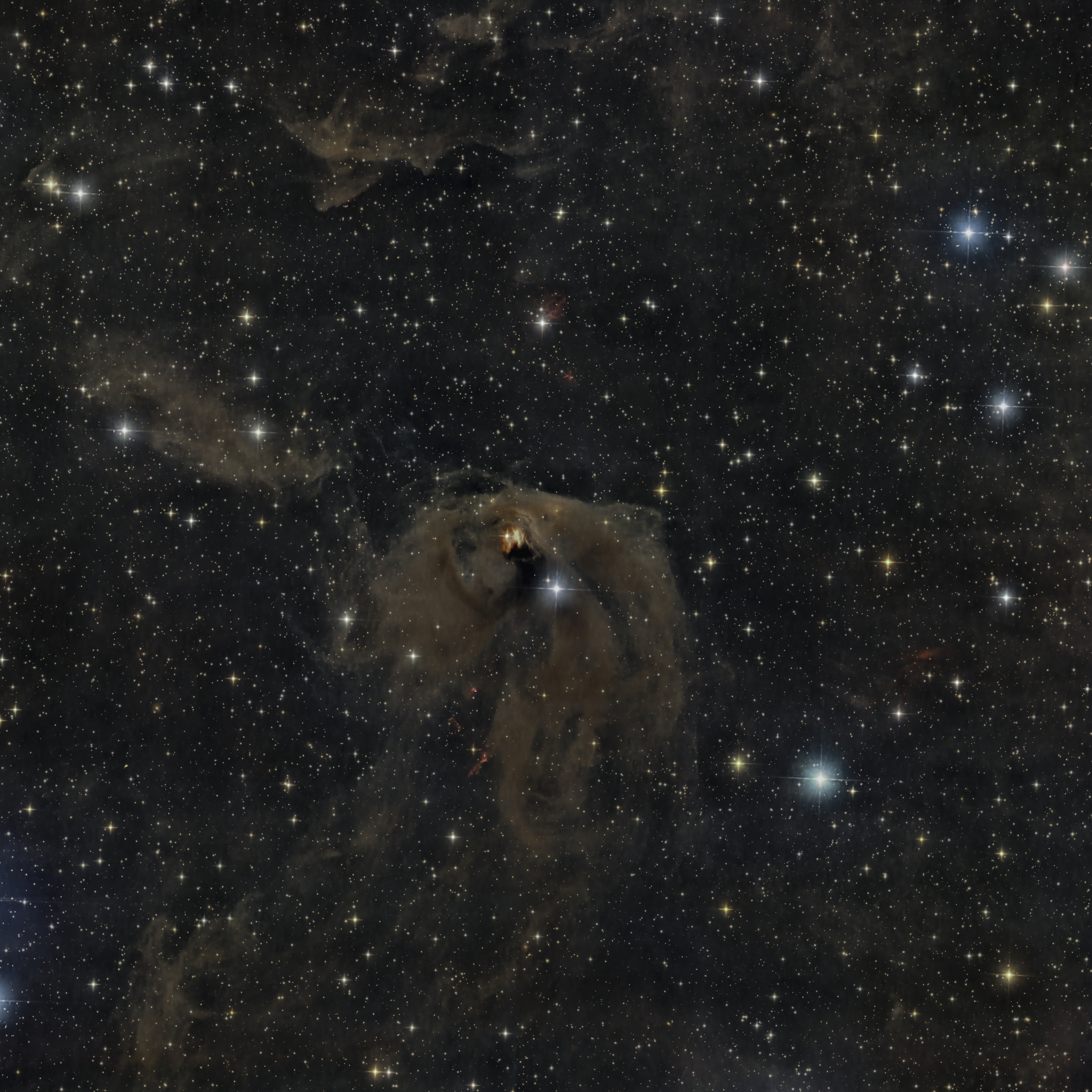 ngc 1555 